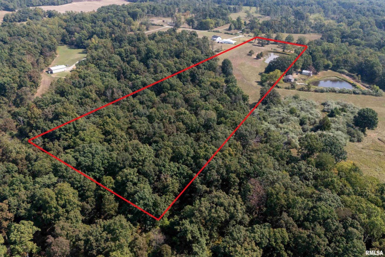 13129 Brushy Creek Road, Carrier Mills, Illinois 62917, 0 , 0 ,0,Land,For Sale,Brushy Creek,0,RMAEB459830
