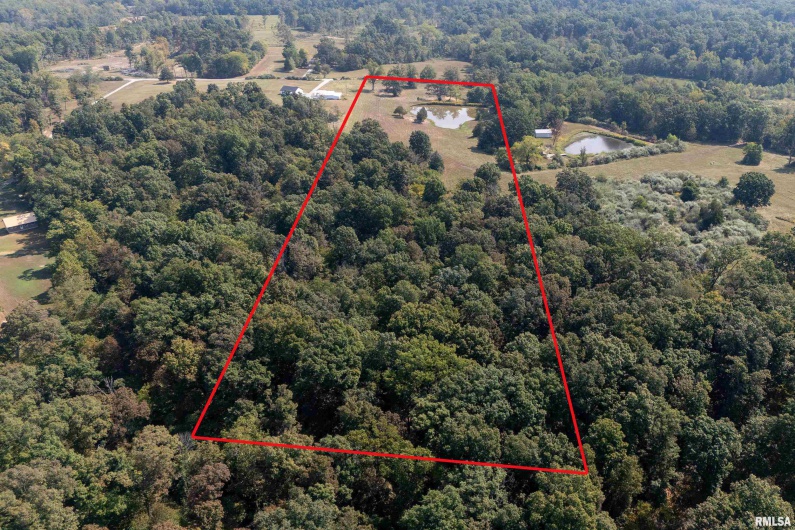 13129 Brushy Creek Road, Carrier Mills, Illinois 62917, 0 , 0 ,0,Land,For Sale,Brushy Creek,0,RMAEB459830