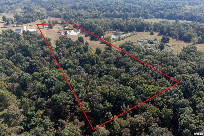 13129 Brushy Creek Road, Carrier Mills, Illinois 62917, 0 , 0 ,0,Land,For Sale,Brushy Creek,0,RMAEB459830