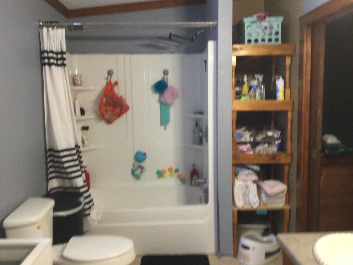 820 Old Hwy 51 Highway, Anna, Illinois 62906, 3 Bedrooms Bedrooms, 0 ,2 BathroomsBathrooms,Residential,For Sale,Old Hwy 51,0,RMAQC4267621