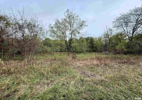 TBD Brock Lane, Murphysboro, Illinois 62966, 0 , 0 ,0,Land,For Sale,Brock,0,RMAQC4267678