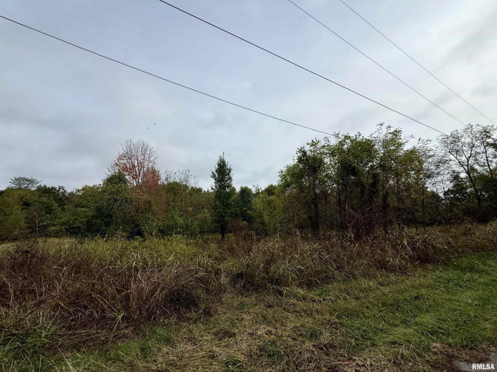TBD Brock Lane, Murphysboro, Illinois 62966, 0 , 0 ,0,Land,For Sale,Brock,0,RMAQC4267678