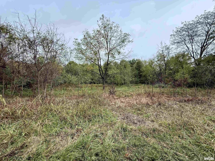 TBD Brock Lane, Murphysboro, Illinois 62966, 0 , 0 ,0,Land,For Sale,Brock,0,RMAQC4267678