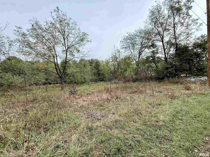 TBD Brock Lane, Murphysboro, Illinois 62966, 0 , 0 ,0,Land,For Sale,Brock,0,RMAQC4267678