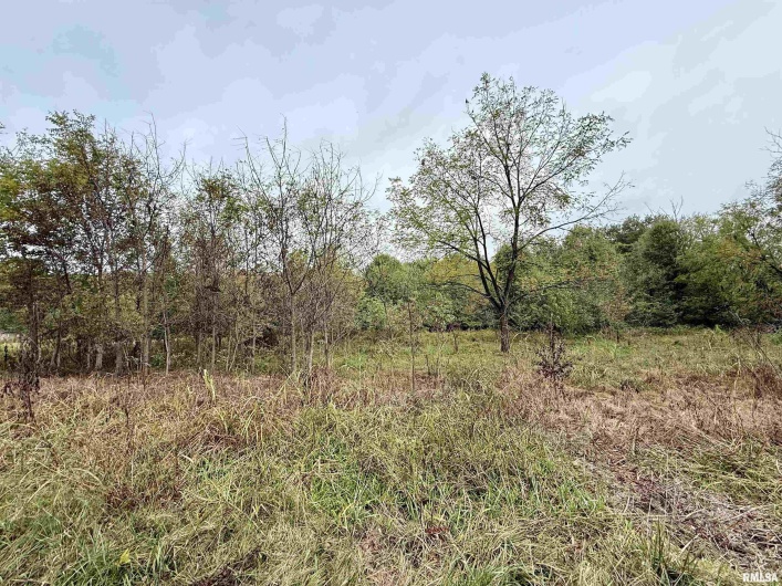 TBD Brock Lane, Murphysboro, Illinois 62966, 0 , 0 ,0,Land,For Sale,Brock,0,RMAQC4267678