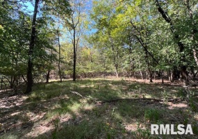 000 Barnett Street, Carterville, Illinois 62918, 0 , 0 ,0,Land,For Sale,Barnett,0,RMAEB459858
