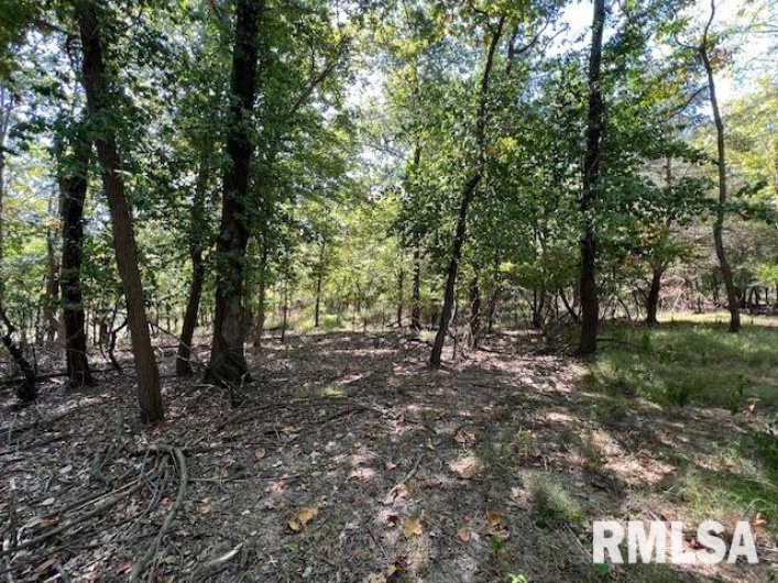 000 Barnett Street, Carterville, Illinois 62918, 0 , 0 ,0,Land,For Sale,Barnett,0,RMAEB459858