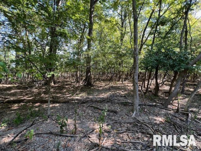 000 Barnett Street, Carterville, Illinois 62918, 0 , 0 ,0,Land,For Sale,Barnett,0,RMAEB459858