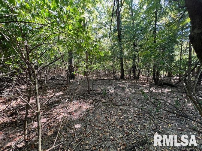 000 Barnett Street, Carterville, Illinois 62918, 0 , 0 ,0,Land,For Sale,Barnett,0,RMAEB459858