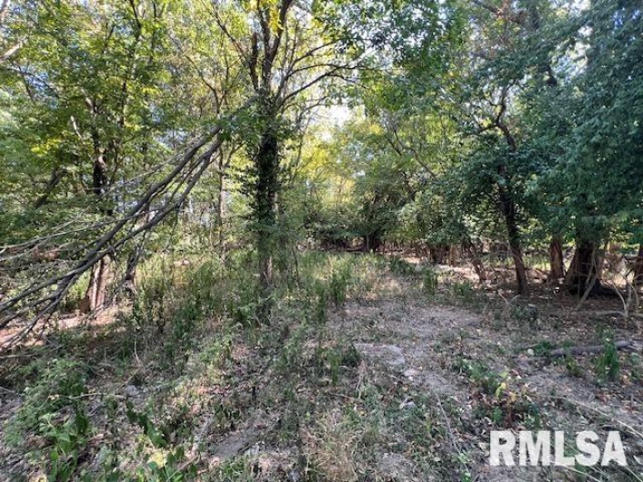 000 Barnett Street, Carterville, Illinois 62918, 0 , 0 ,0,Land,For Sale,Barnett,0,RMAEB459858