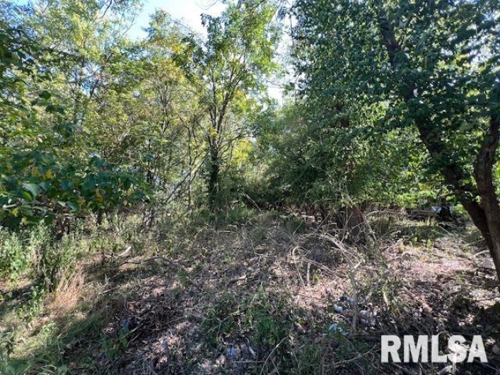 000 Barnett Street, Carterville, Illinois 62918, 0 , 0 ,0,Land,For Sale,Barnett,0,RMAEB459858