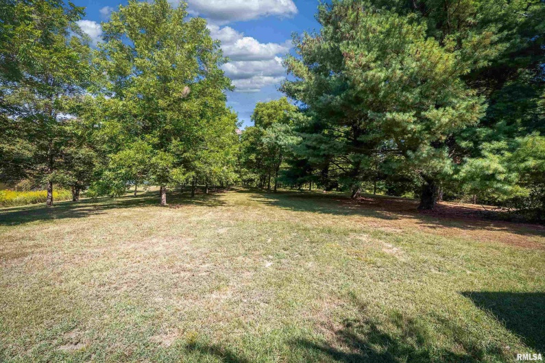 350 OAK GROVE Road, Makanda, Illinois 62958, 3 Bedrooms Bedrooms, 0 ,2 BathroomsBathrooms,Residential,For Sale,OAK GROVE,0,RMAEB459867