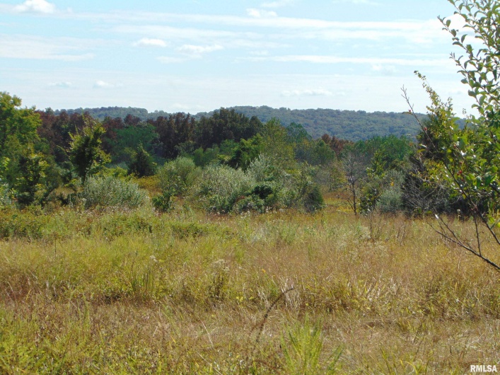 47 WILKINS Road, Harrisburg, Illinois 62946, 0 , 0 ,0,Land,For Sale,WILKINS,0,RMAEB459889
