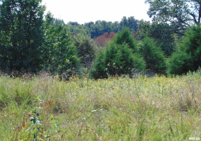 47 WILKINS Road, Harrisburg, Illinois 62946, 0 , 0 ,0,Land,For Sale,WILKINS,0,RMAEB459889