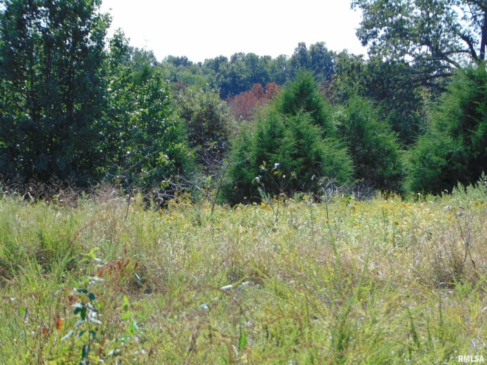 47 WILKINS Road, Harrisburg, Illinois 62946, 0 , 0 ,0,Land,For Sale,WILKINS,0,RMAEB459889