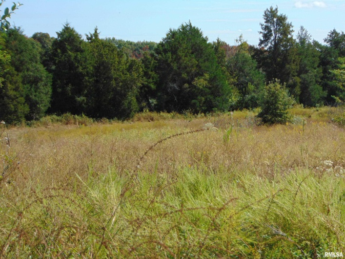 47 WILKINS Road, Harrisburg, Illinois 62946, 0 , 0 ,0,Land,For Sale,WILKINS,0,RMAEB459889
