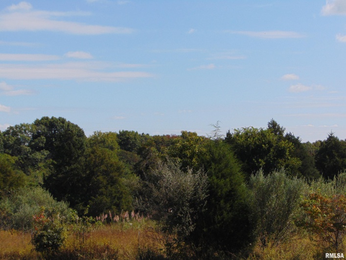 47 WILKINS Road, Harrisburg, Illinois 62946, 0 , 0 ,0,Land,For Sale,WILKINS,0,RMAEB459889
