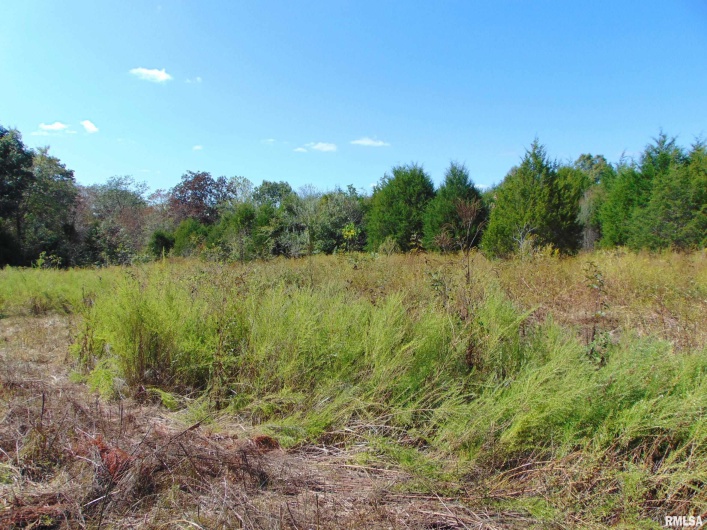 47 WILKINS Road, Harrisburg, Illinois 62946, 0 , 0 ,0,Land,For Sale,WILKINS,0,RMAEB459889
