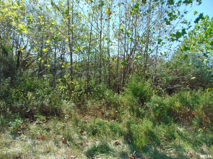 47 WILKINS Road, Harrisburg, Illinois 62946, 0 , 0 ,0,Land,For Sale,WILKINS,0,RMAEB459889