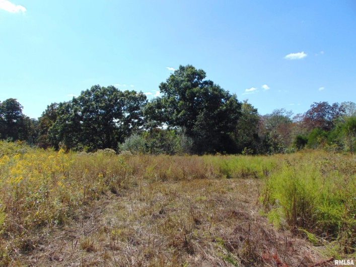 47 WILKINS Road, Harrisburg, Illinois 62946, 0 , 0 ,0,Land,For Sale,WILKINS,0,RMAEB459889