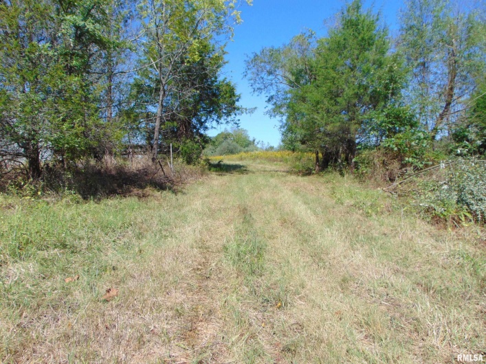 47 WILKINS Road, Harrisburg, Illinois 62946, 0 , 0 ,0,Land,For Sale,WILKINS,0,RMAEB459889