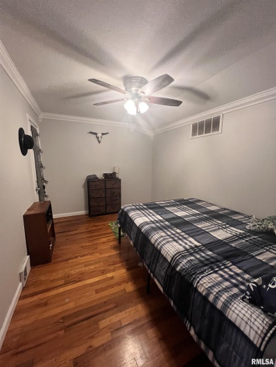 203 PLUM Street, Anna, Illinois 62906, 3 Bedrooms Bedrooms, 0 ,2 BathroomsBathrooms,Residential,For Sale,PLUM,0,RMAQC4267812