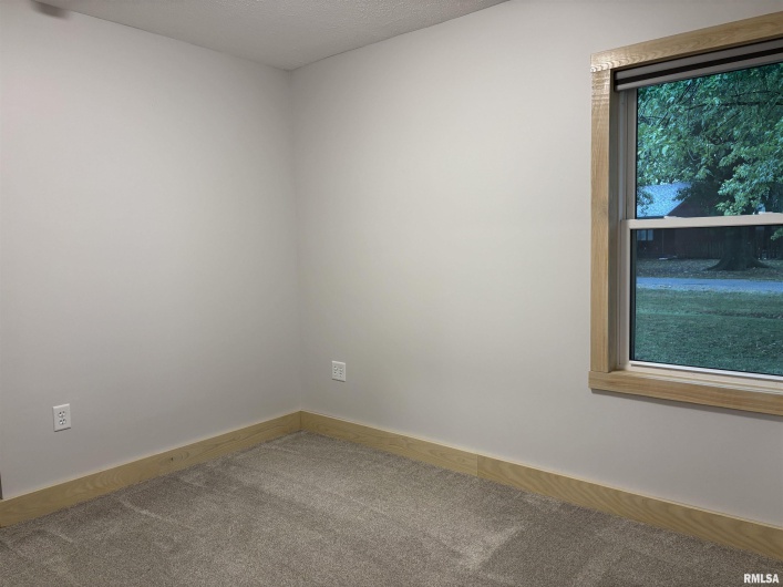 125 JACOB Street, Wolf Lake, Illinois 62998, 3 Bedrooms Bedrooms, 0 ,2 BathroomsBathrooms,Residential,For Sale,JACOB,0,RMAEB459905