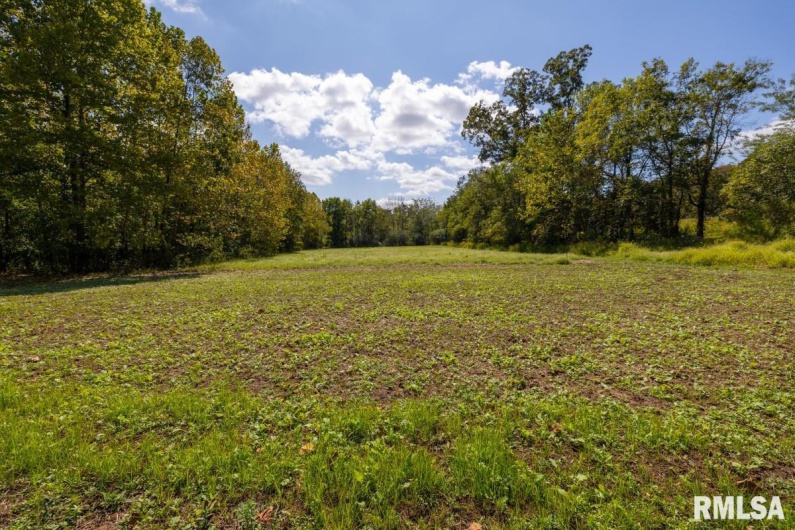 160 Iron Furnace Road, Elizabethtown, Illinois 62931, 2 Bedrooms Bedrooms, 0 ,2 BathroomsBathrooms,Residential,For Sale,Iron Furnace,0,RMACA1039508