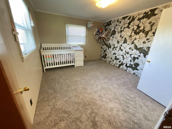 25 MICHIGAN Street, Harrisburg, Illinois 62946, 2 Bedrooms Bedrooms, 0 ,2 BathroomsBathrooms,Residential,For Sale,MICHIGAN,0,RMAEB459245