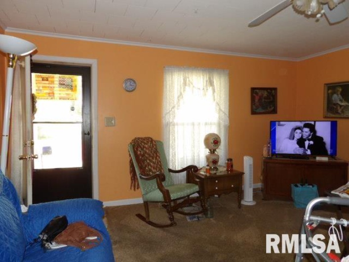 205 WASHINGTON Street, Carrier Mills, Illinois 62917, 3 Bedrooms Bedrooms, 0 ,1 BathroomBathrooms,Residential,For Sale,WASHINGTON,0,RMAEB459961