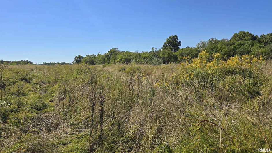 0 Mount Pisgah Road, Buncombe, Illinois 62912, 0 , 0 ,0,Land,For Sale,Mount Pisgah,0,RMAEB459994