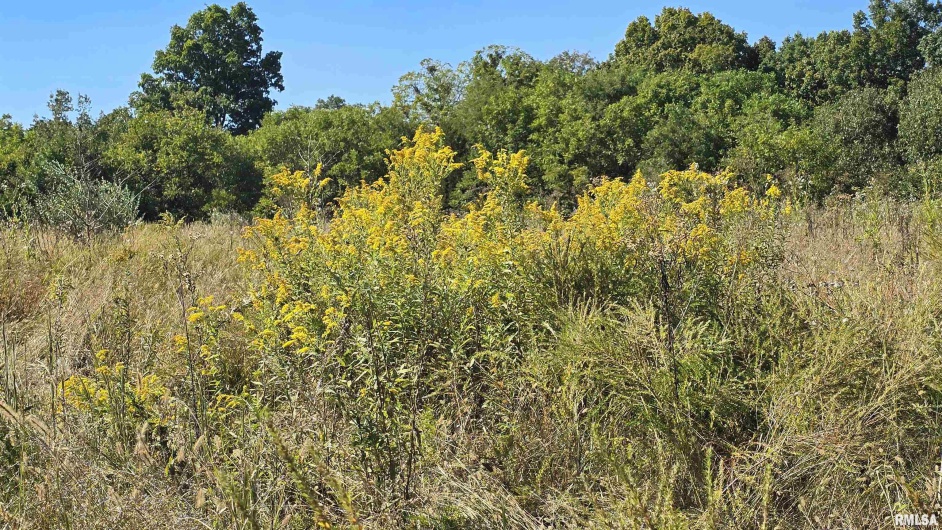 0 Mount Pisgah Road, Buncombe, Illinois 62912, 0 , 0 ,0,Land,For Sale,Mount Pisgah,0,RMAEB459994