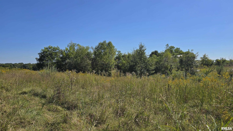 0 Mount Pisgah Road, Buncombe, Illinois 62912, 0 , 0 ,0,Land,For Sale,Mount Pisgah,0,RMAEB459994