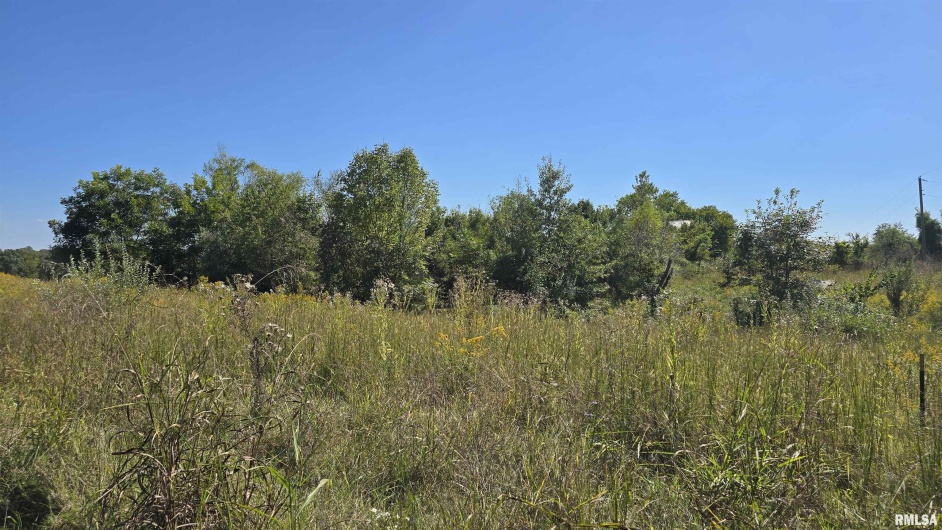 0 Mount Pisgah Road, Buncombe, Illinois 62912, 0 , 0 ,0,Land,For Sale,Mount Pisgah,0,RMAEB459994