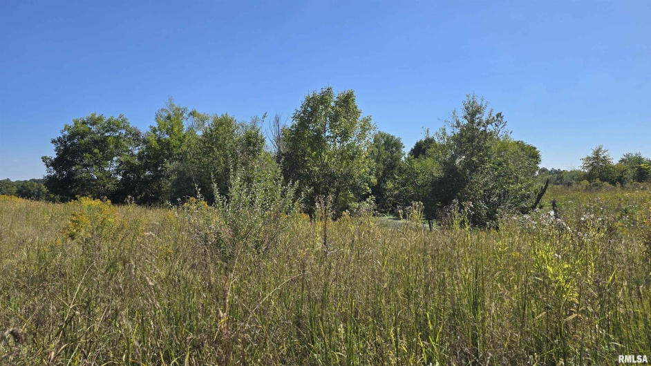 0 Mount Pisgah Road, Buncombe, Illinois 62912, 0 , 0 ,0,Land,For Sale,Mount Pisgah,0,RMAEB459994