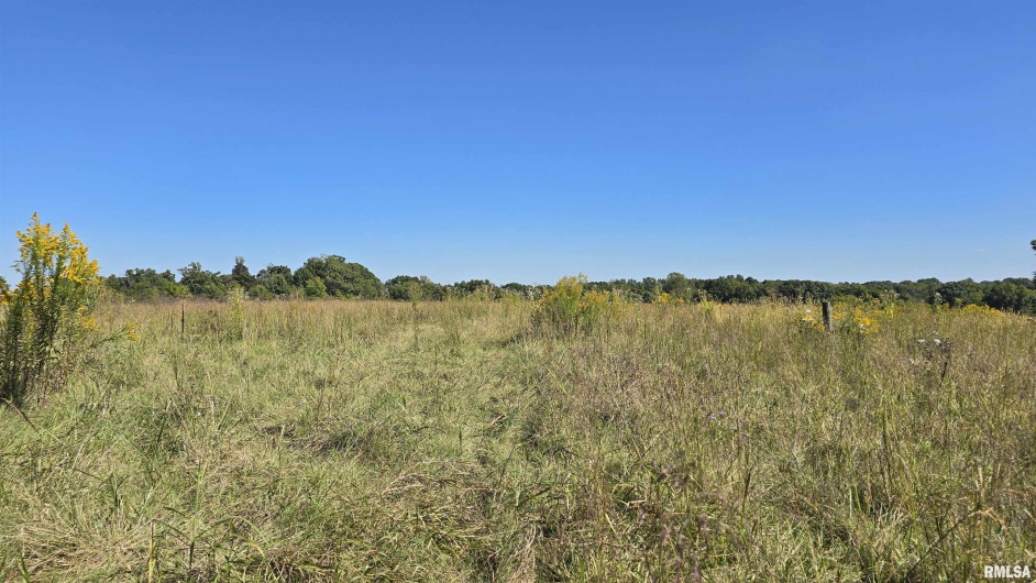 0 Mount Pisgah Road, Buncombe, Illinois 62912, 0 , 0 ,0,Land,For Sale,Mount Pisgah,0,RMAEB459994