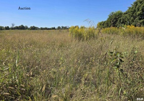 0 Mount Pisgah Road, Buncombe, Illinois 62912, 0 , 0 ,0,Land,For Sale,Mount Pisgah,0,RMAEB459994