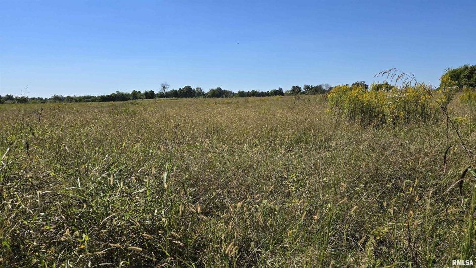 0 Mount Pisgah Road, Buncombe, Illinois 62912, 0 , 0 ,0,Land,For Sale,Mount Pisgah,0,RMAEB459994