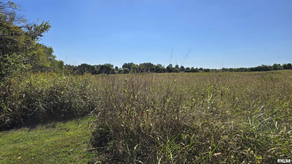 0 Mount Pisgah Road, Buncombe, Illinois 62912, 0 , 0 ,0,Land,For Sale,Mount Pisgah,0,RMAEB459994