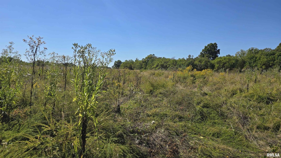 0 Mount Pisgah Road, Buncombe, Illinois 62912, 0 , 0 ,0,Land,For Sale,Mount Pisgah,0,RMAEB459994