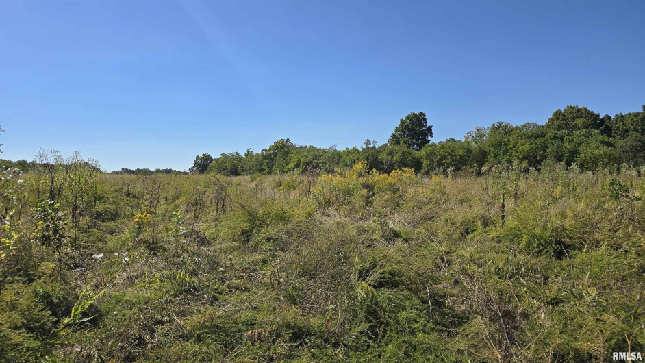 0 Mount Pisgah Road, Buncombe, Illinois 62912, 0 , 0 ,0,Land,For Sale,Mount Pisgah,0,RMAEB459994