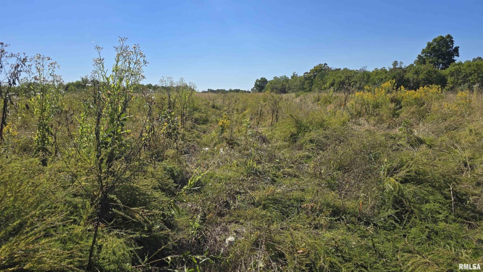 0 Mount Pisgah Road, Buncombe, Illinois 62912, 0 , 0 ,0,Land,For Sale,Mount Pisgah,0,RMAEB459994