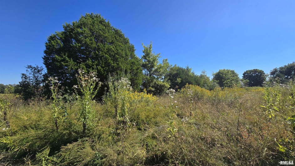 0 Mount Pisgah Road, Buncombe, Illinois 62912, 0 , 0 ,0,Land,For Sale,Mount Pisgah,0,RMAEB459994