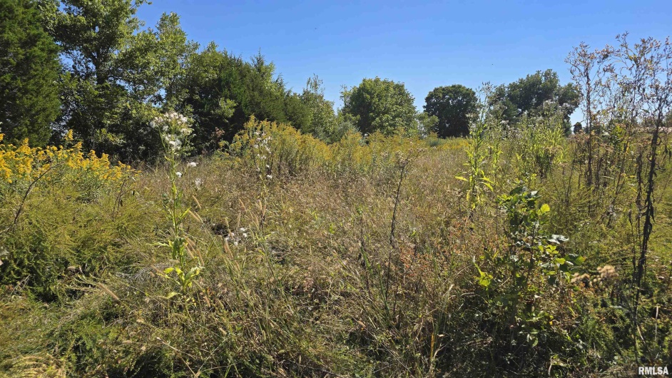 0 Mount Pisgah Road, Buncombe, Illinois 62912, 0 , 0 ,0,Land,For Sale,Mount Pisgah,0,RMAEB459994
