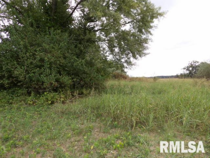 ooo MOORE Road, Eldorado, Illinois 62930, 0 , 0 ,0,Land,For Sale,MOORE,0,RMAEB460022