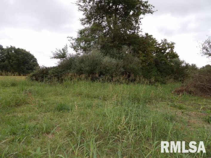ooo MOORE Road, Eldorado, Illinois 62930, 0 , 0 ,0,Land,For Sale,MOORE,0,RMAEB460022