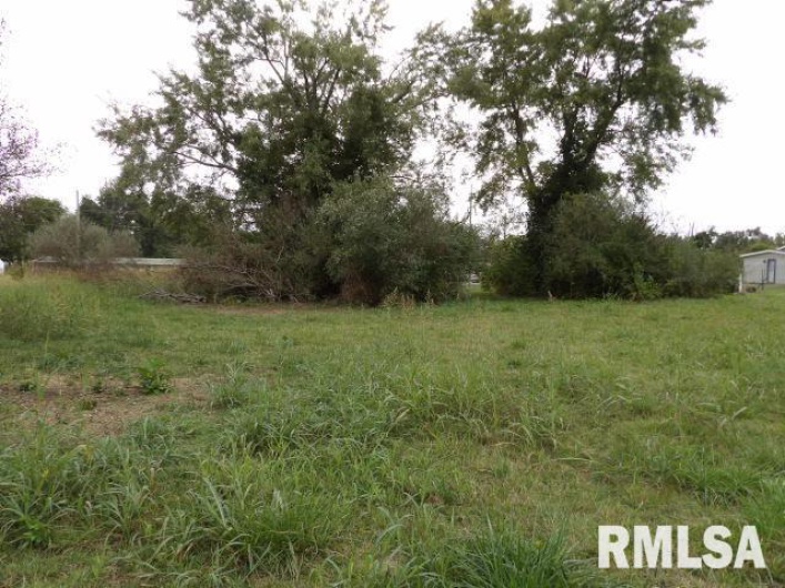 ooo MOORE Road, Eldorado, Illinois 62930, 0 , 0 ,0,Land,For Sale,MOORE,0,RMAEB460022