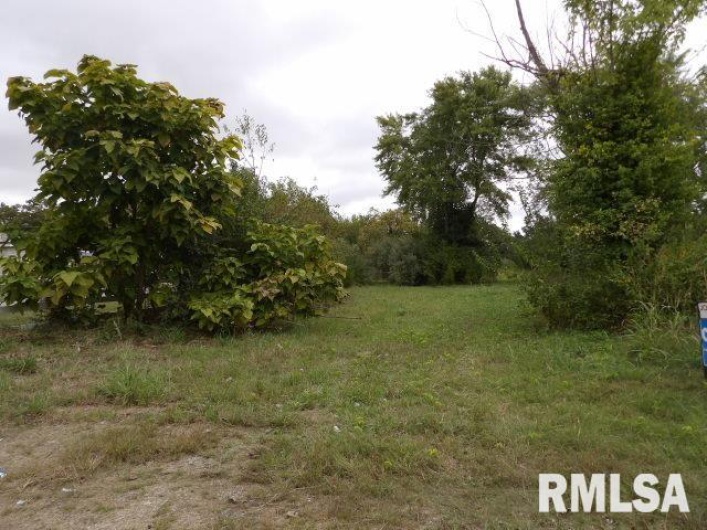 ooo MOORE Road, Eldorado, Illinois 62930, 0 , 0 ,0,Land,For Sale,MOORE,0,RMAEB460022