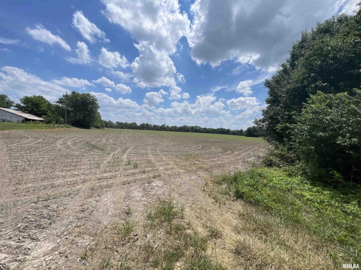 000 Old Bainbridge Road, Marion, Illinois 62959, 0 , 0 ,0,Commercial Sale,For Sale,Old Bainbridge,0,RMAEB460032
