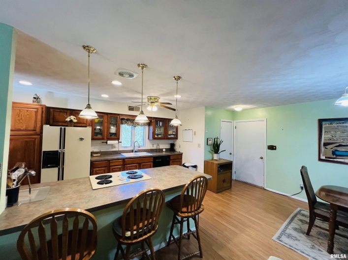 295 Country Acres Road, Eldorado, Illinois 62930-3461, 3 Bedrooms Bedrooms, 0 ,2 BathroomsBathrooms,Residential,For Sale,Country Acres,0,RMAEB460052